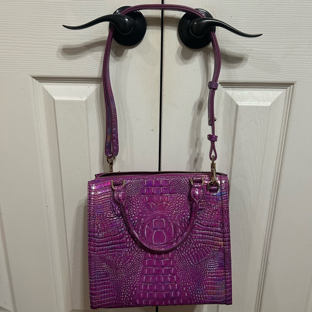 Azalea Caroline Brahmin - Picture 2 of 3
